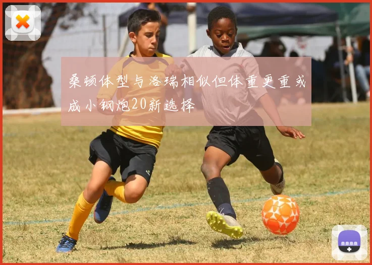 桑顿体型与洛瑞相似但体重更重或成小钢炮20新选择
