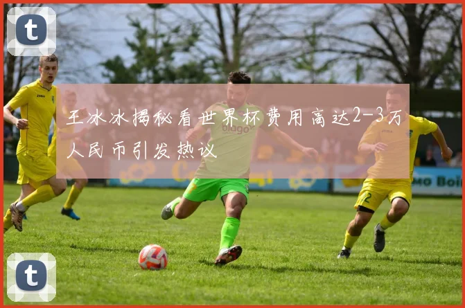 王冰冰揭秘看世界杯费用高达2-3万人民币引发热议